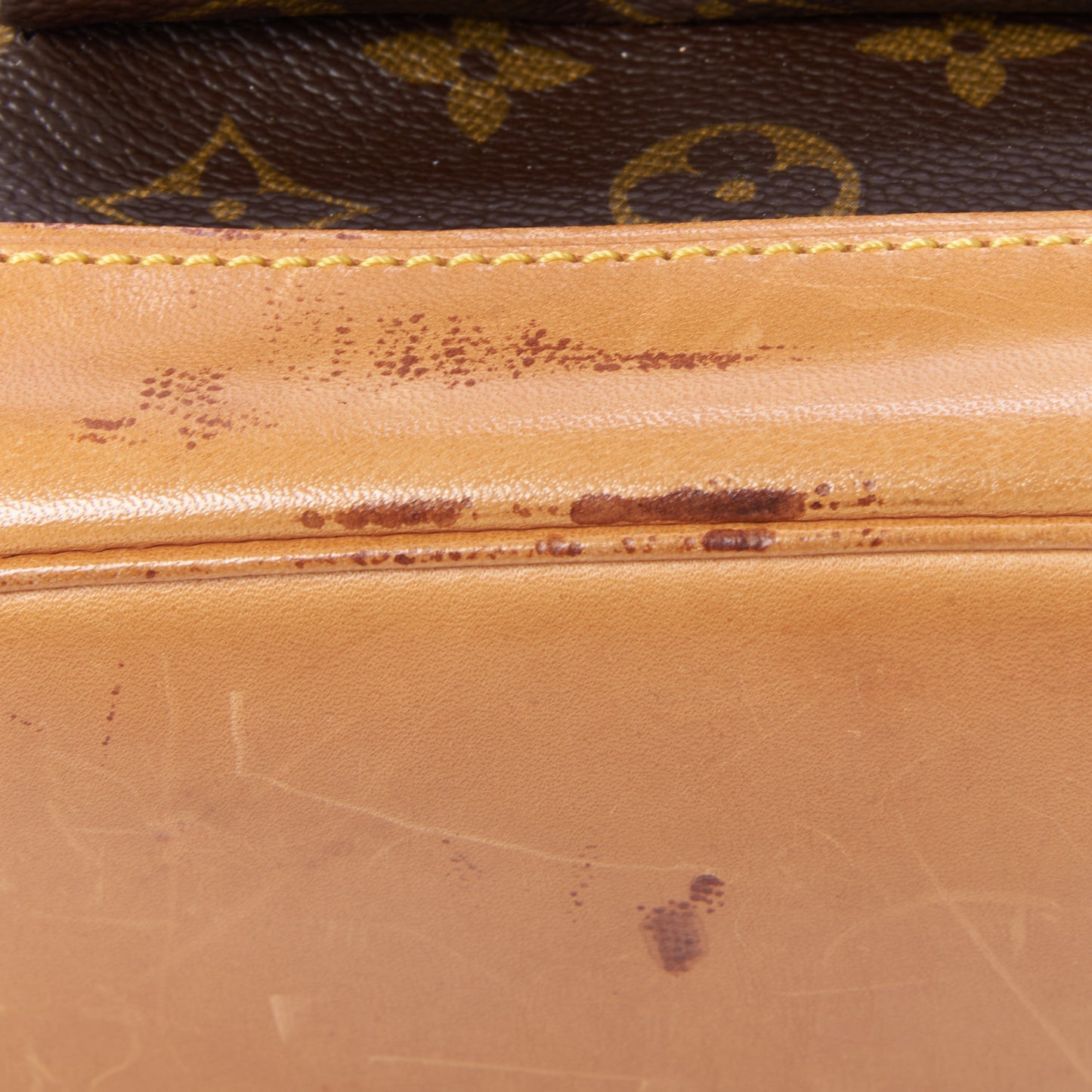 Monogram Montsouris GM Backpack