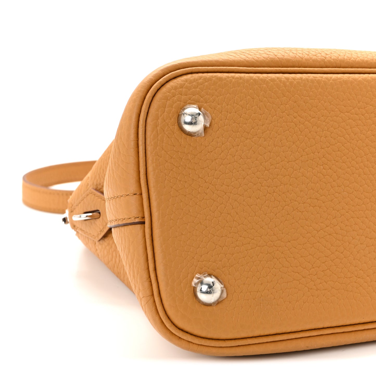 Taurillon Clemence Bolide 31 Sesame