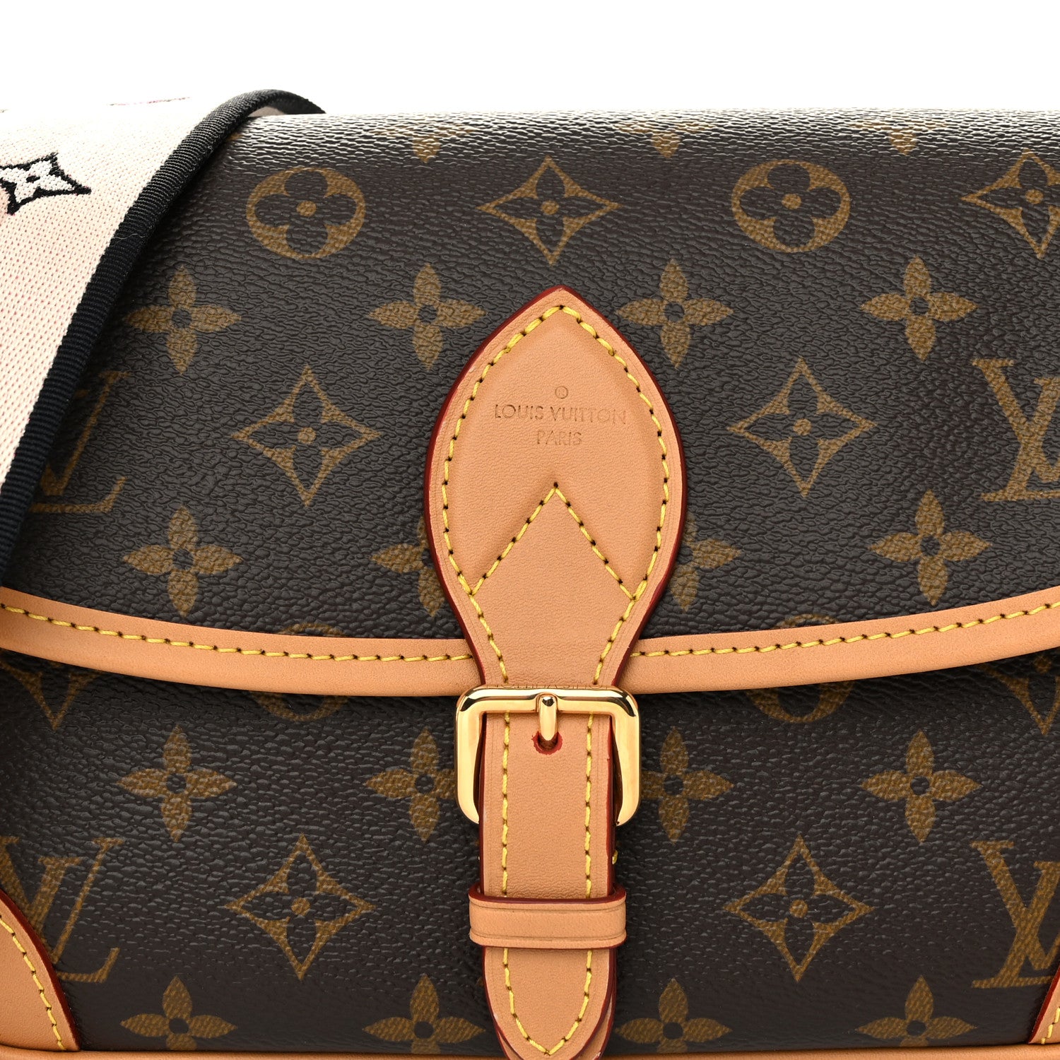 Louis Vuitton Monogram Diane 7 of 9