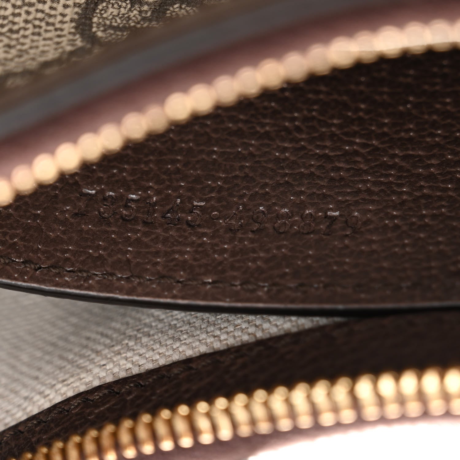 Gucci GG Supreme Monogram Textured Dollar Calfskin Small Ophidia Hobo Beige Ebony New Acero 7 of 12