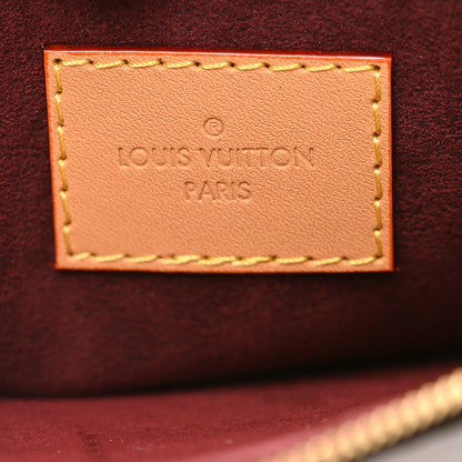 Louis Vuitton Monogram Carryall PM Pochette 6 of 8