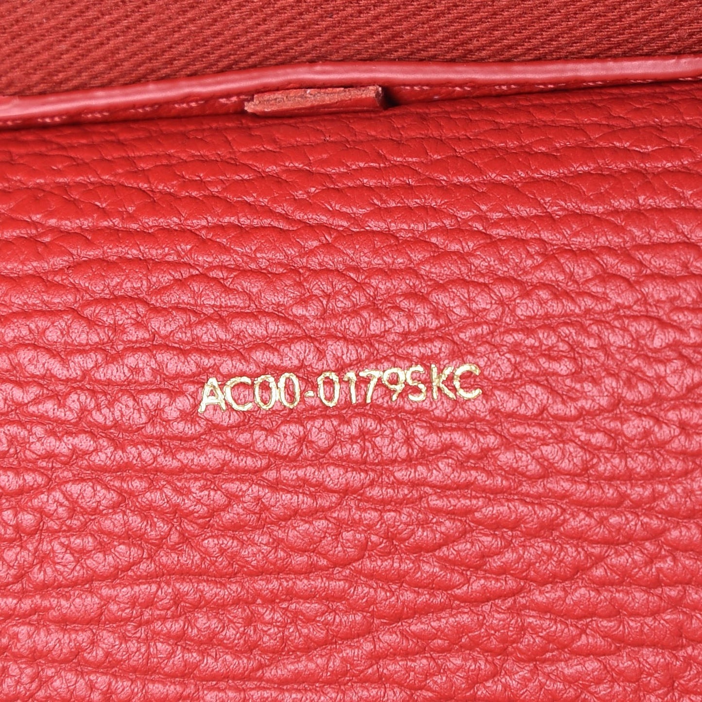 3.1 Textured Calfskin Medium Pashli Satchel Red