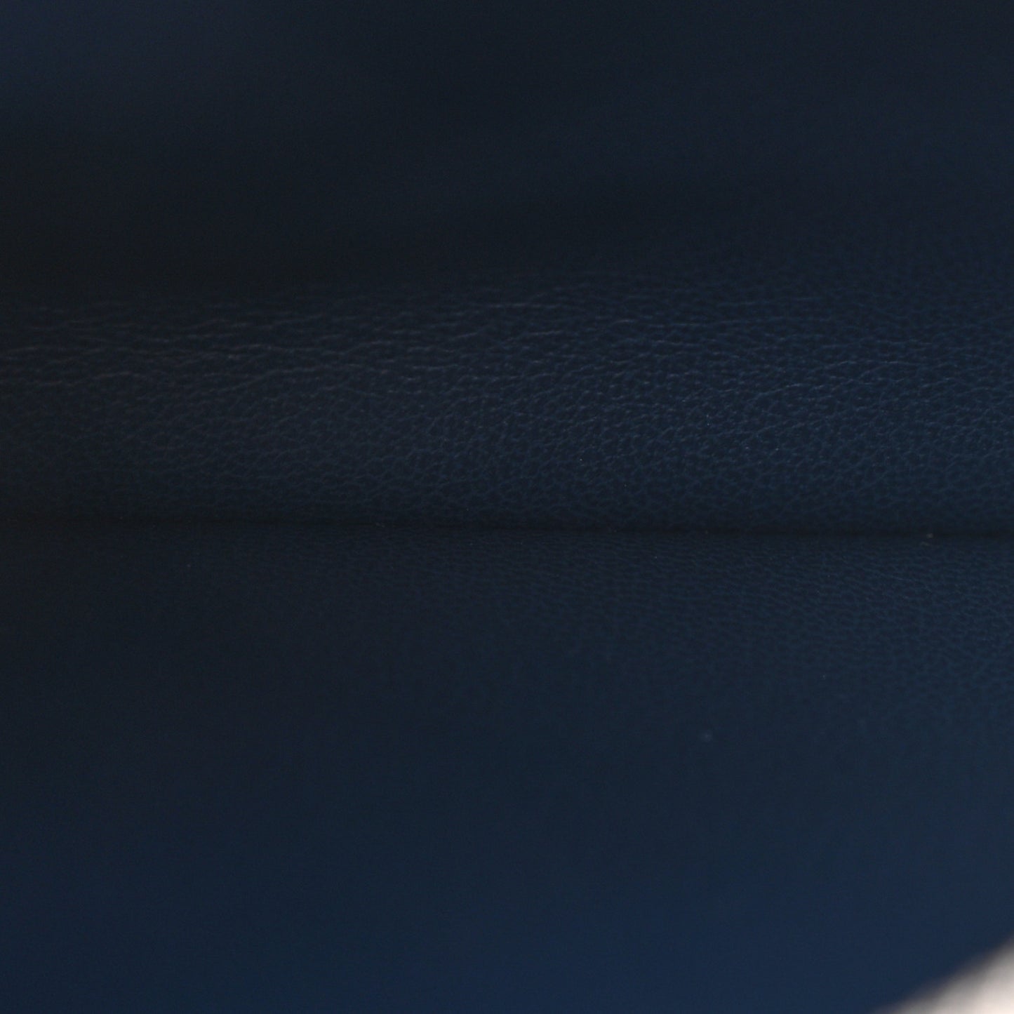 Lambskin Embossed Monogram Coussin PM Navy