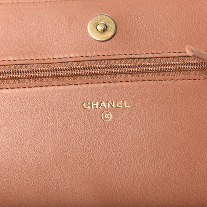 Chanel Lambskin Quilted 19 Wallet On Chain WOC Brown 8 of 10