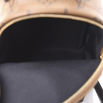 Louis Vuitton Reverse Monogram Palm Springs Backpack Mini 4 of 8