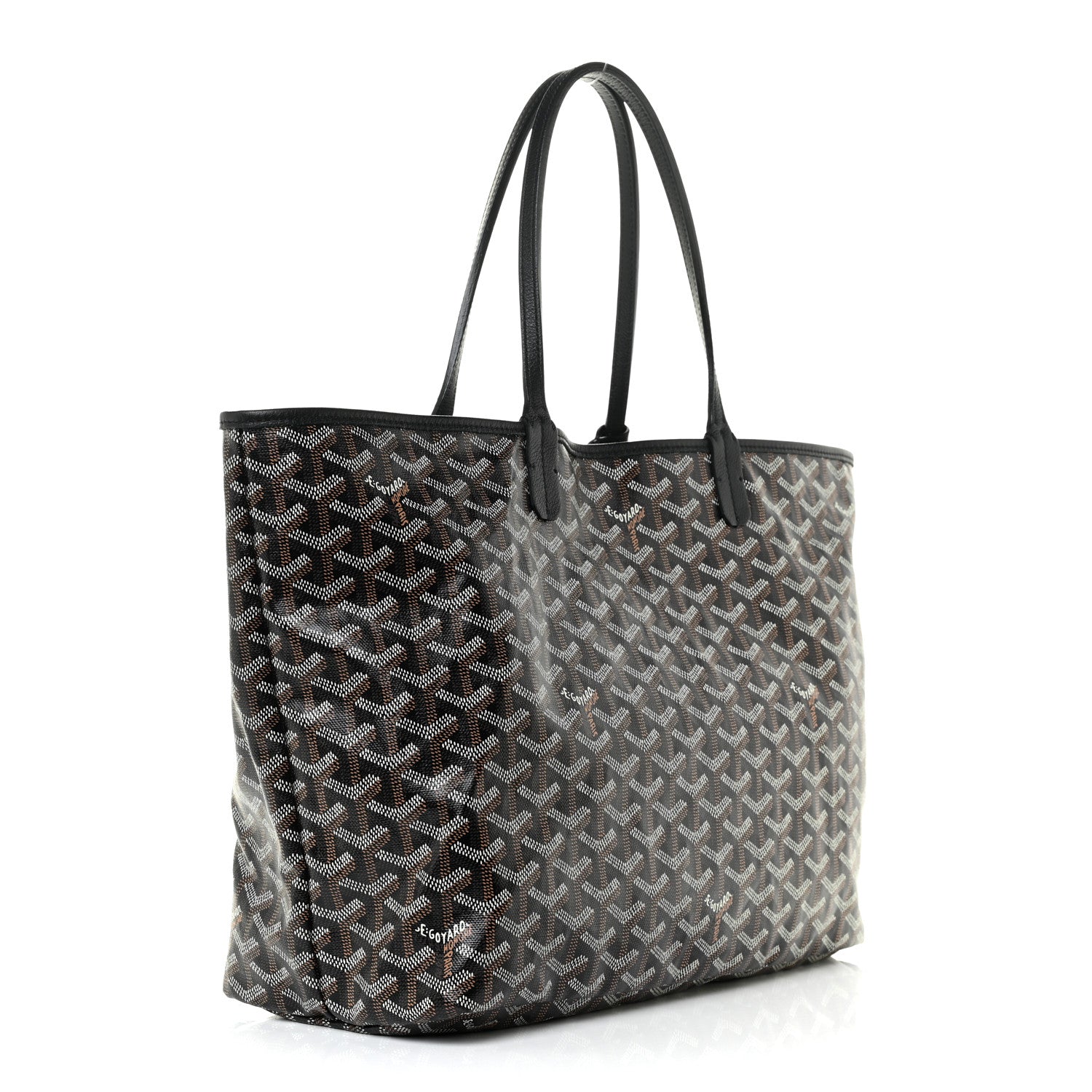 Goyard Goyardine Saint Louis PM Black 4 of 10