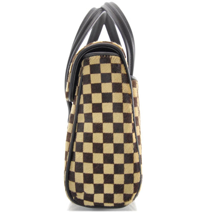 Louis Vuitton Damier Sauvage Lionne 4 of 9