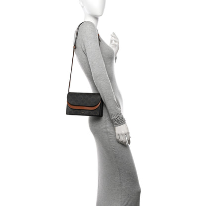 Celine Triomphe Canvas Lambskin Wallet On Strap Tan 2 of 10