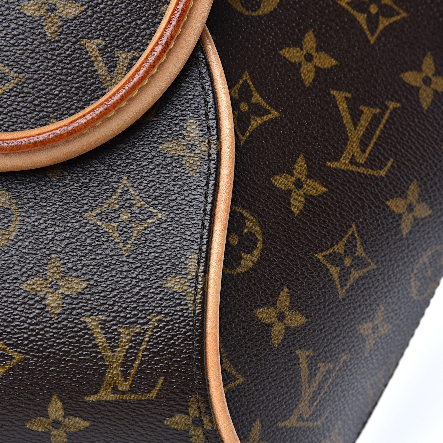 Louis Vuitton Monogram Ellipse PM 10 of 11
