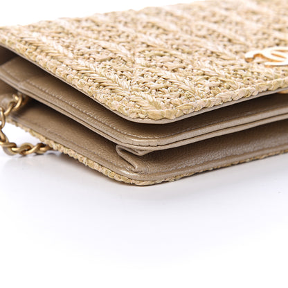 Chanel Woven Straw Braided Ancient Greek Wallet On Chain WOC Beige 9 of 11