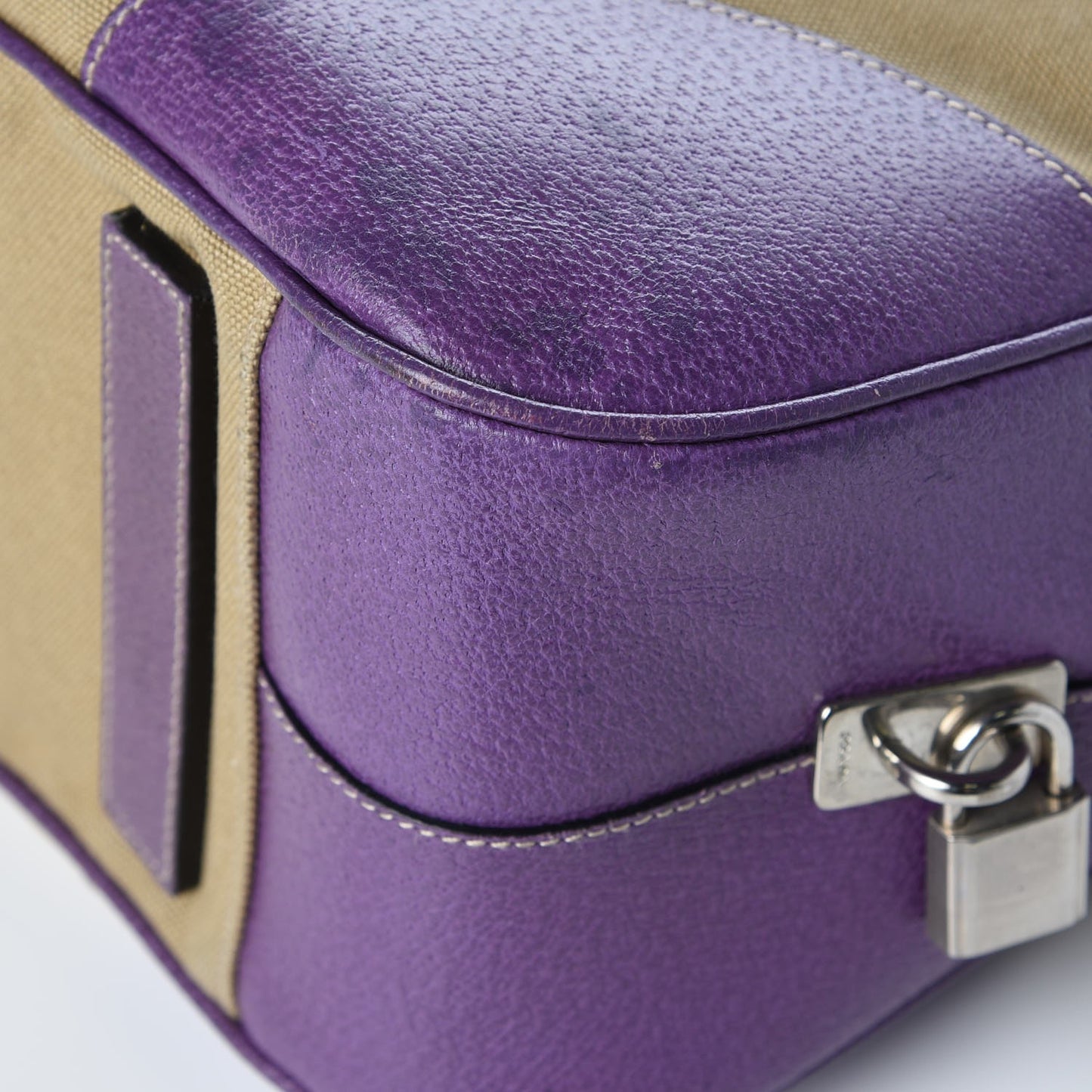 Canapa Cinghiale Bowler Viola