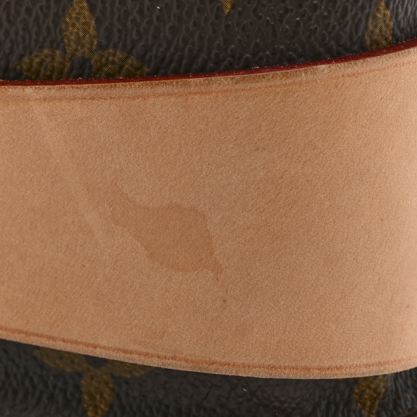 Monogram Cartouchiere 22