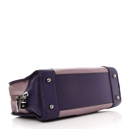 Loewe Goatskin Amazona Purple 4 of 13