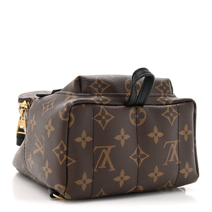 Louis Vuitton Monogram Palm Springs Backpack Mini 4 of 10