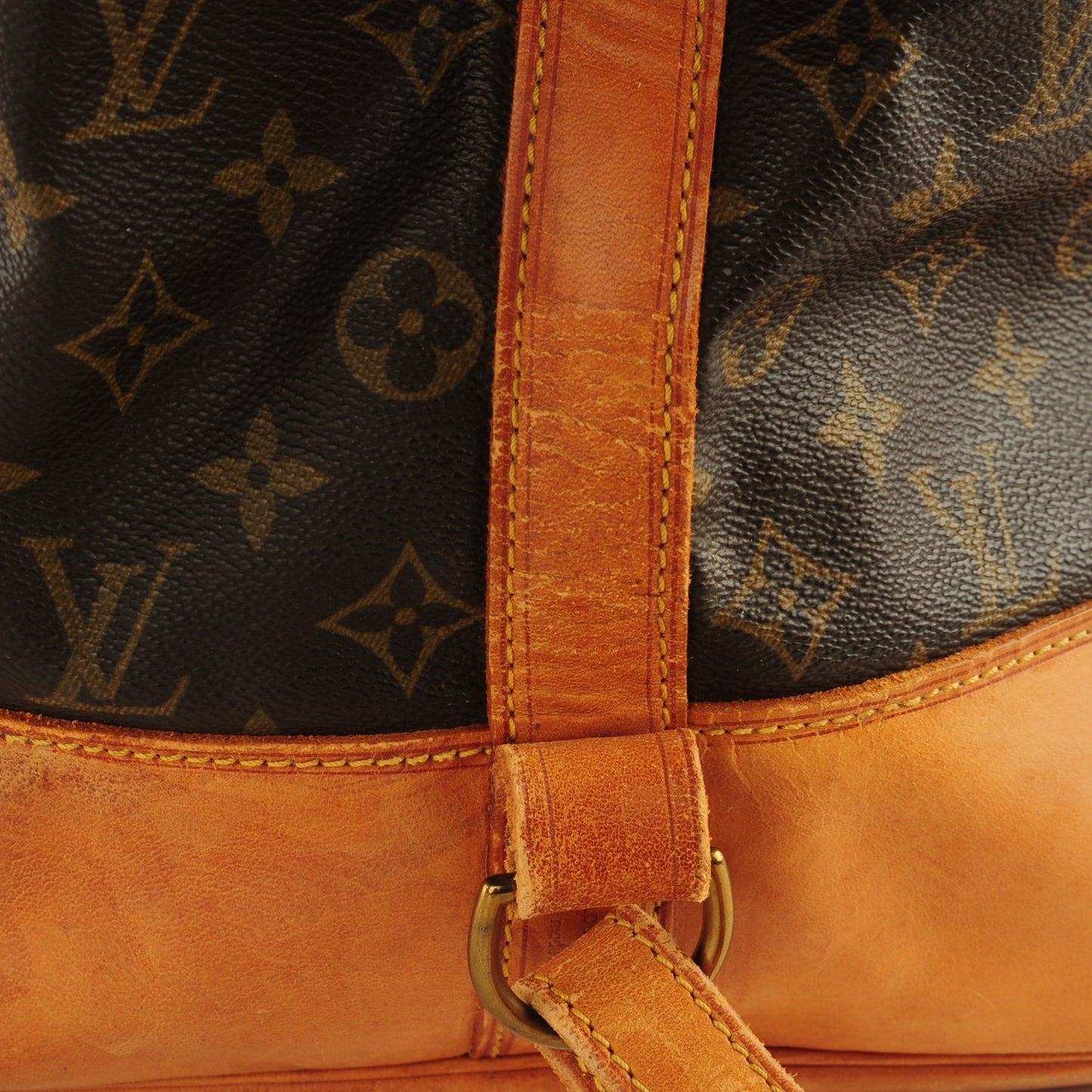 Monogram Randonnee GM Backpack