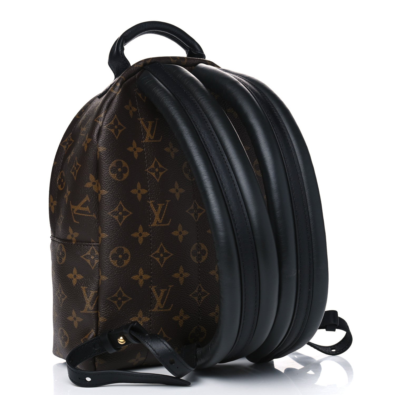 Louis Vuitton Monogram Palm Springs Backpack PM 2 of 4