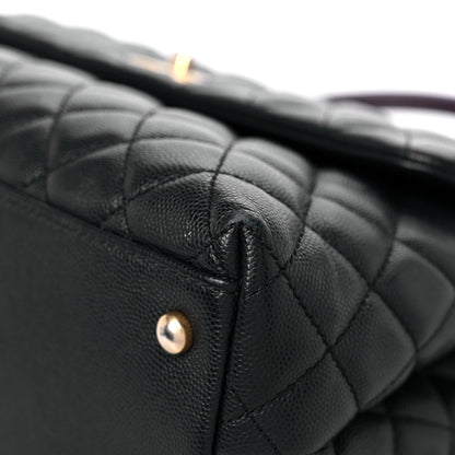 Chanel Caviar Lizard Quilted Medium Coco Handle Flap Black 9 of 16