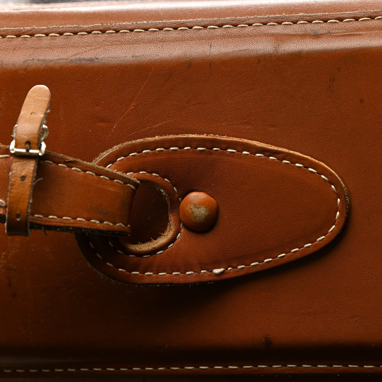 French Company Monogram Garment Bag