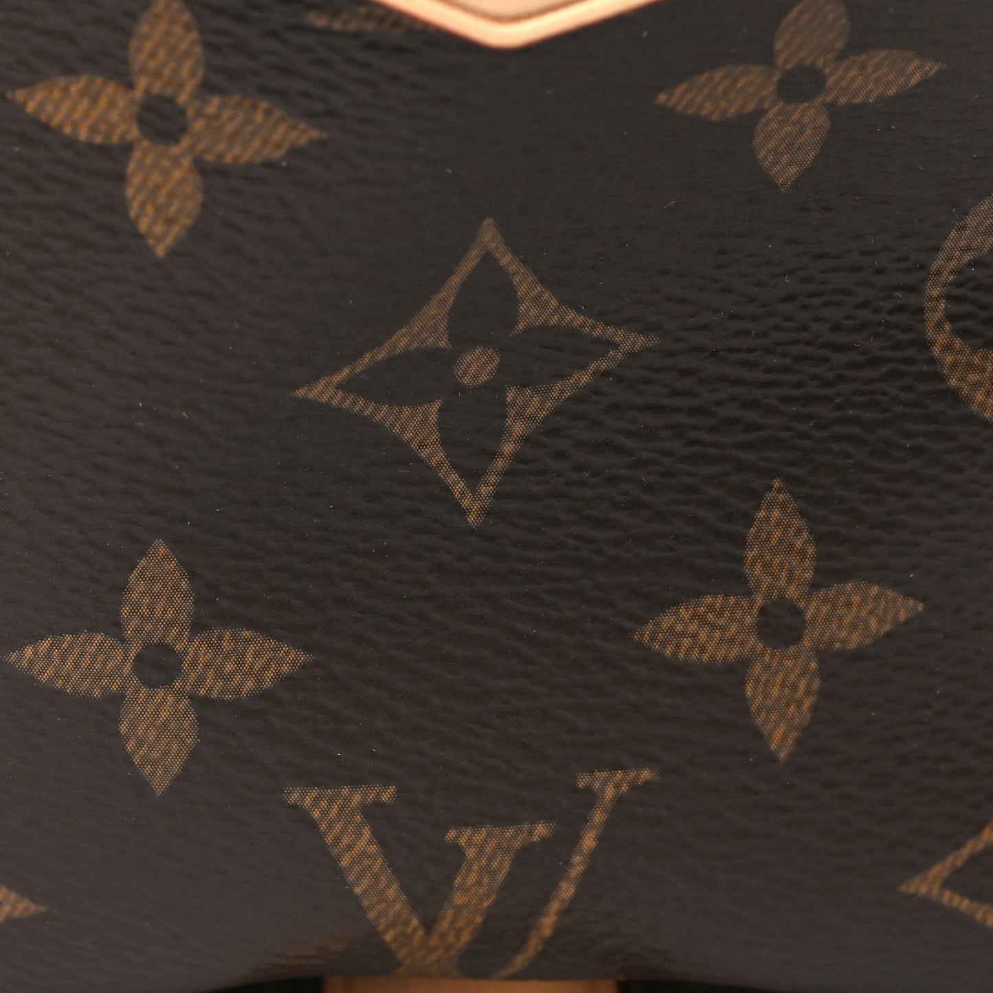 Monogram Bumbag
