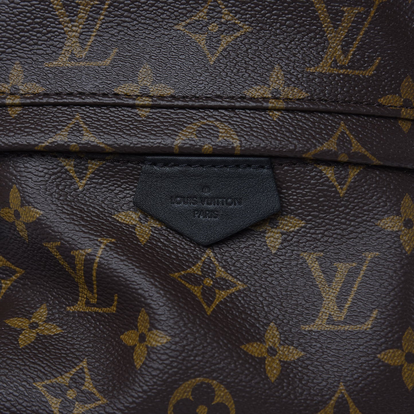 Monogram Palm Springs Backpack PM