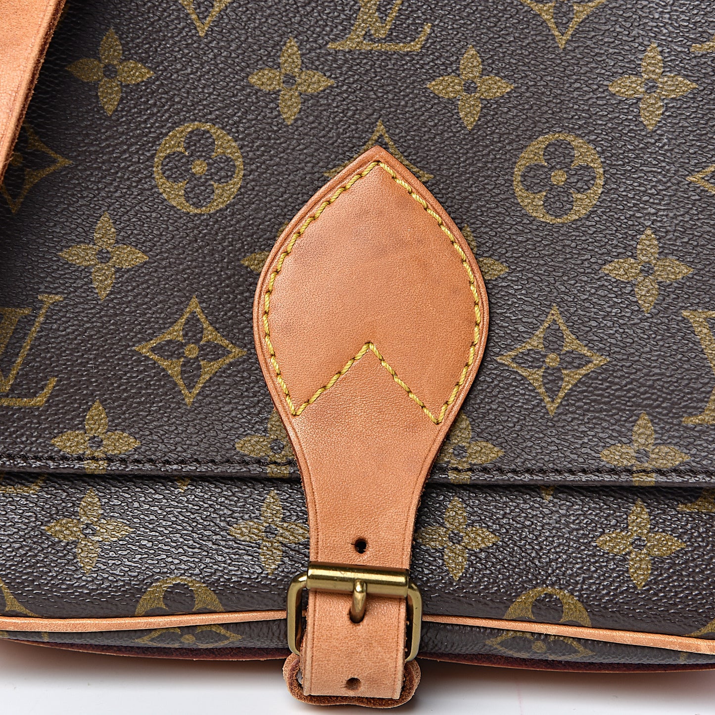 Monogram Cartouchiere 22