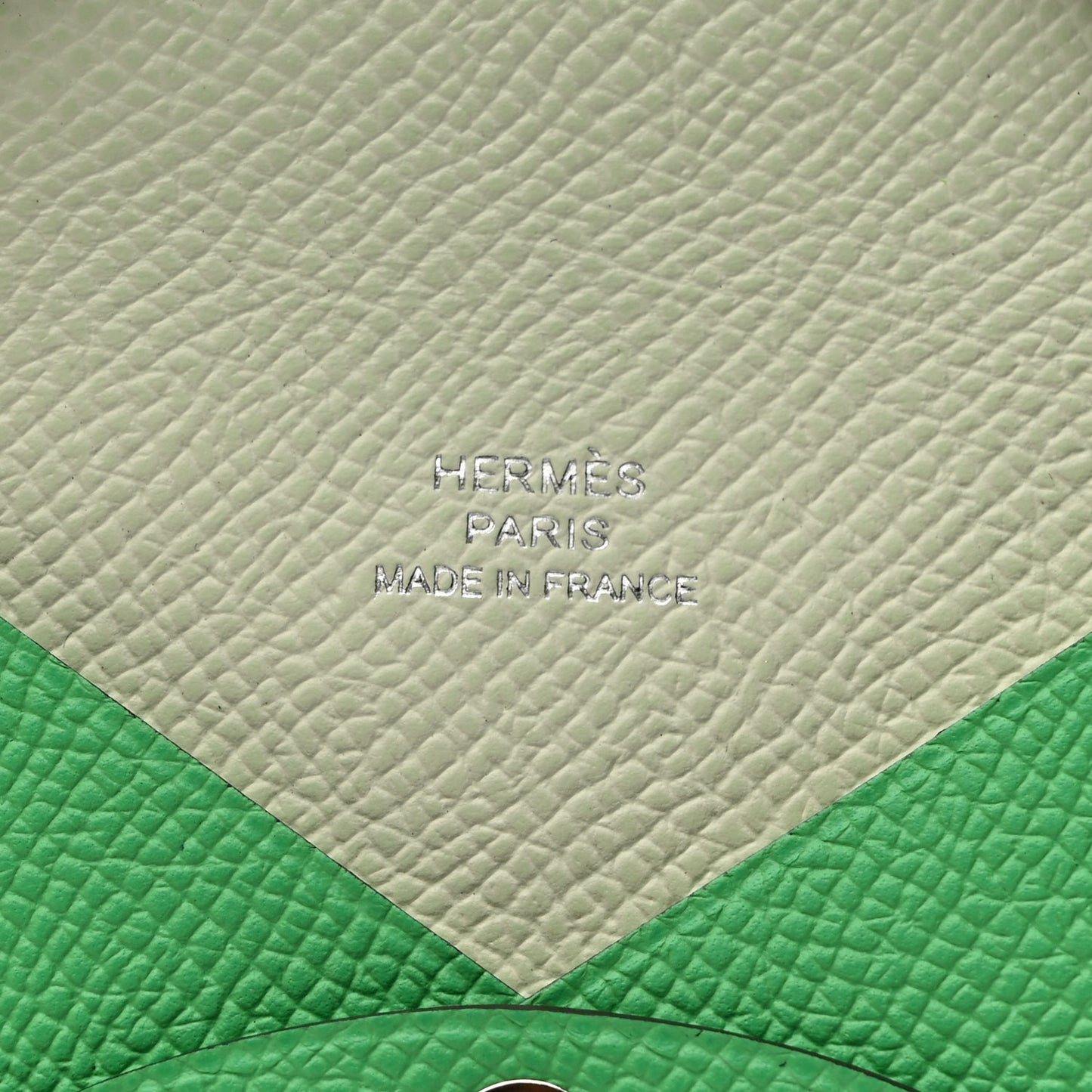 Epsom Verso Calvi Card Case Vert Comics Vert Fizz