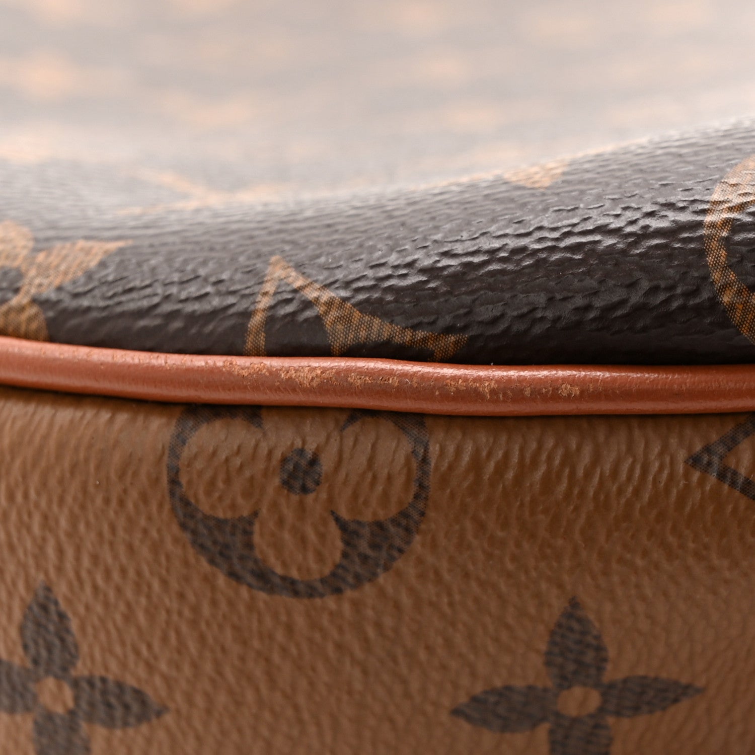 Louis Vuitton Reverse Monogram Loop Hobo 10 of 11