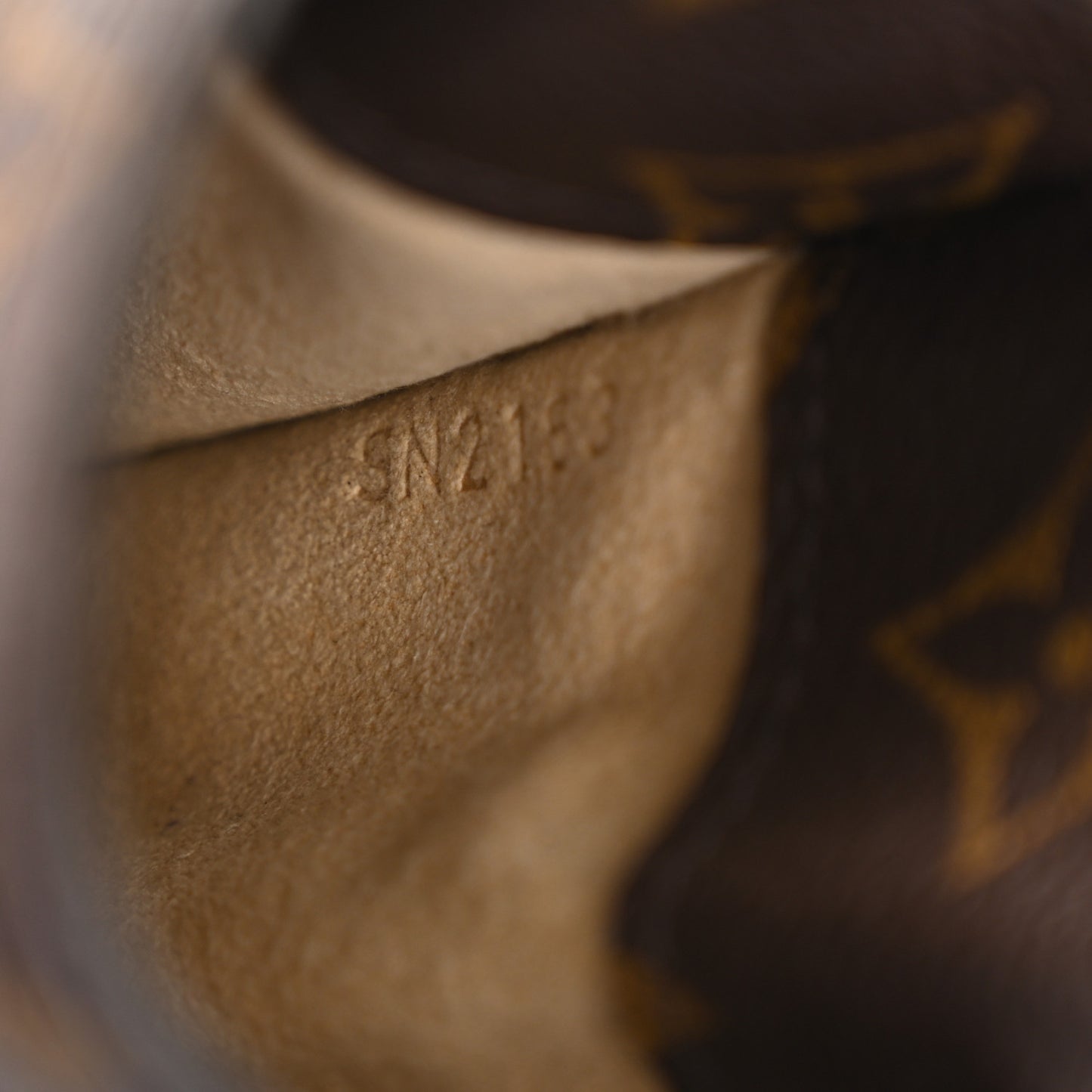 Monogram Sunglasses Case MM