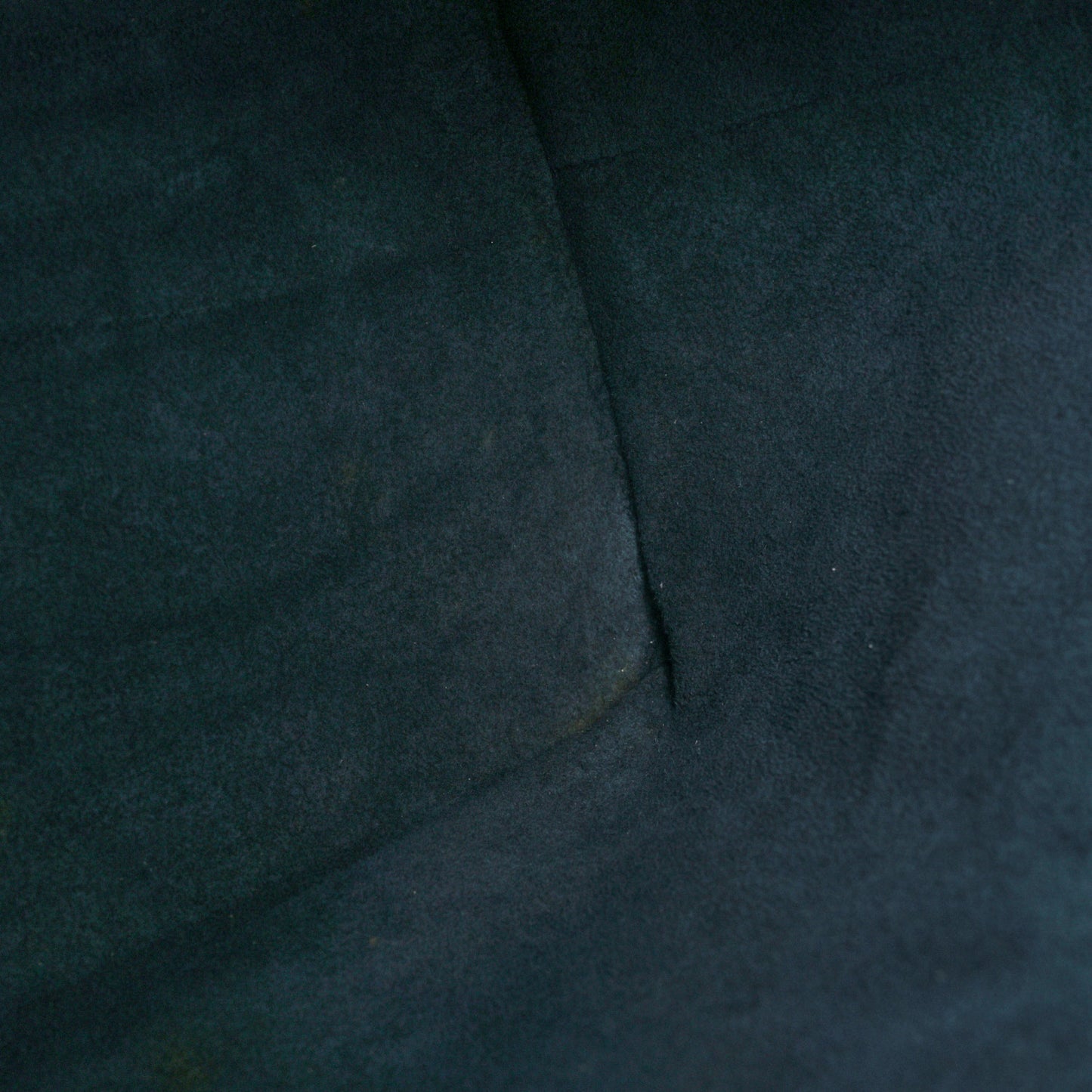 Epi Petit Noe Toledo