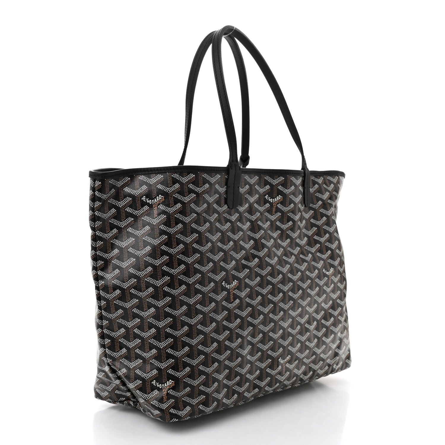 Goyard Goyardine Saint Louis PM Black 4 of 11