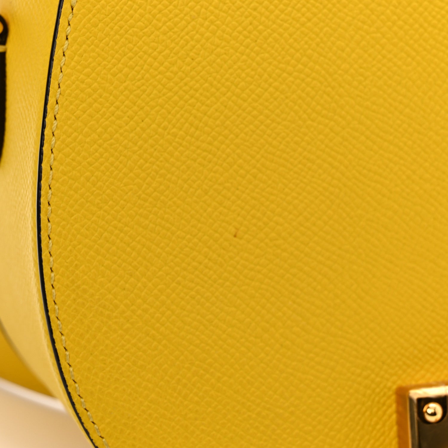 Moynat Carat Calfskin Flori PM Citrine 13 of 14