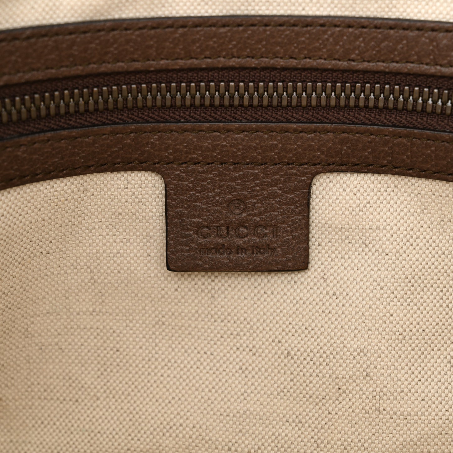 GG Supreme Monogram Web Small Ophidia Half Moon Hobo Brown