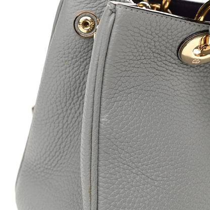 Christian Dior Calfskin Mini Diorissimo Tote Gris 10 of 11