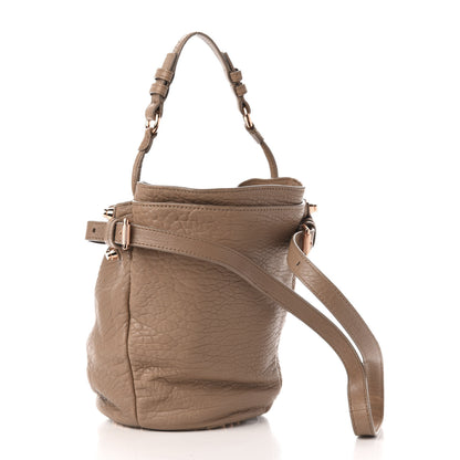 Alexander Wang Pebbled Lambskin Diego Bucket Bag Latte 3 of 12