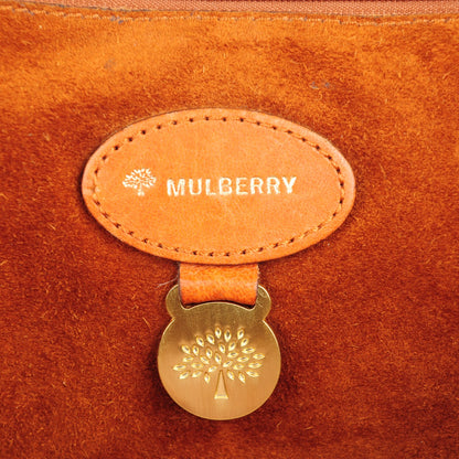 Mulberry Large Grain Nappa Medium Alexa Pumpkin 6 of 7