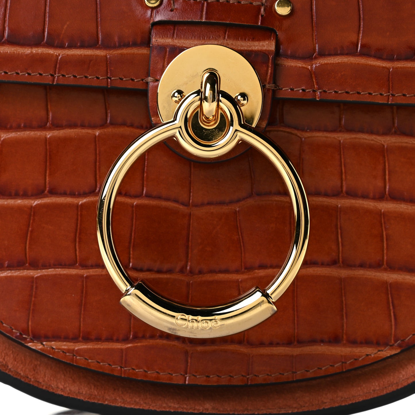 Calfskin Crocodile Embossed Small Tess Bag Chestnut