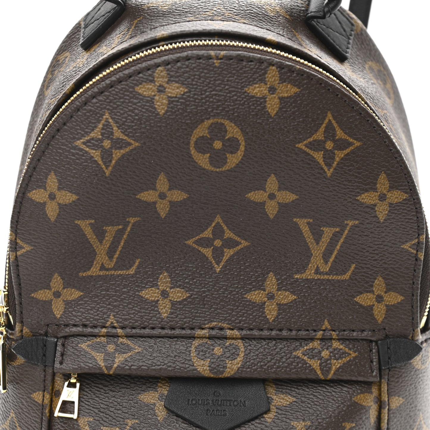 Monogram Palm Springs Backpack Mini