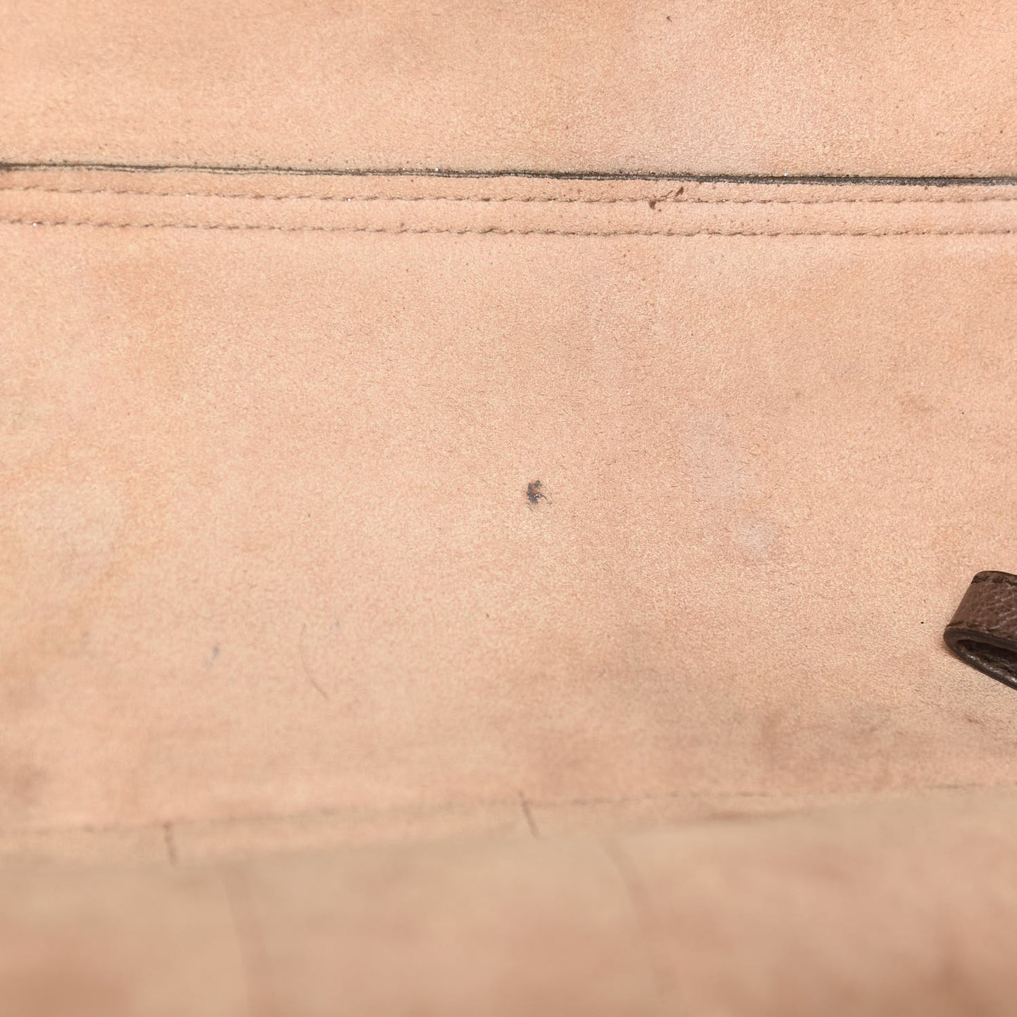 GG Supreme Monogram Web Large Ophidia Tote Brown