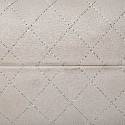 Chanel Grained Vegetal Calfskin Urban Shopping Tote Beige 24 of 24