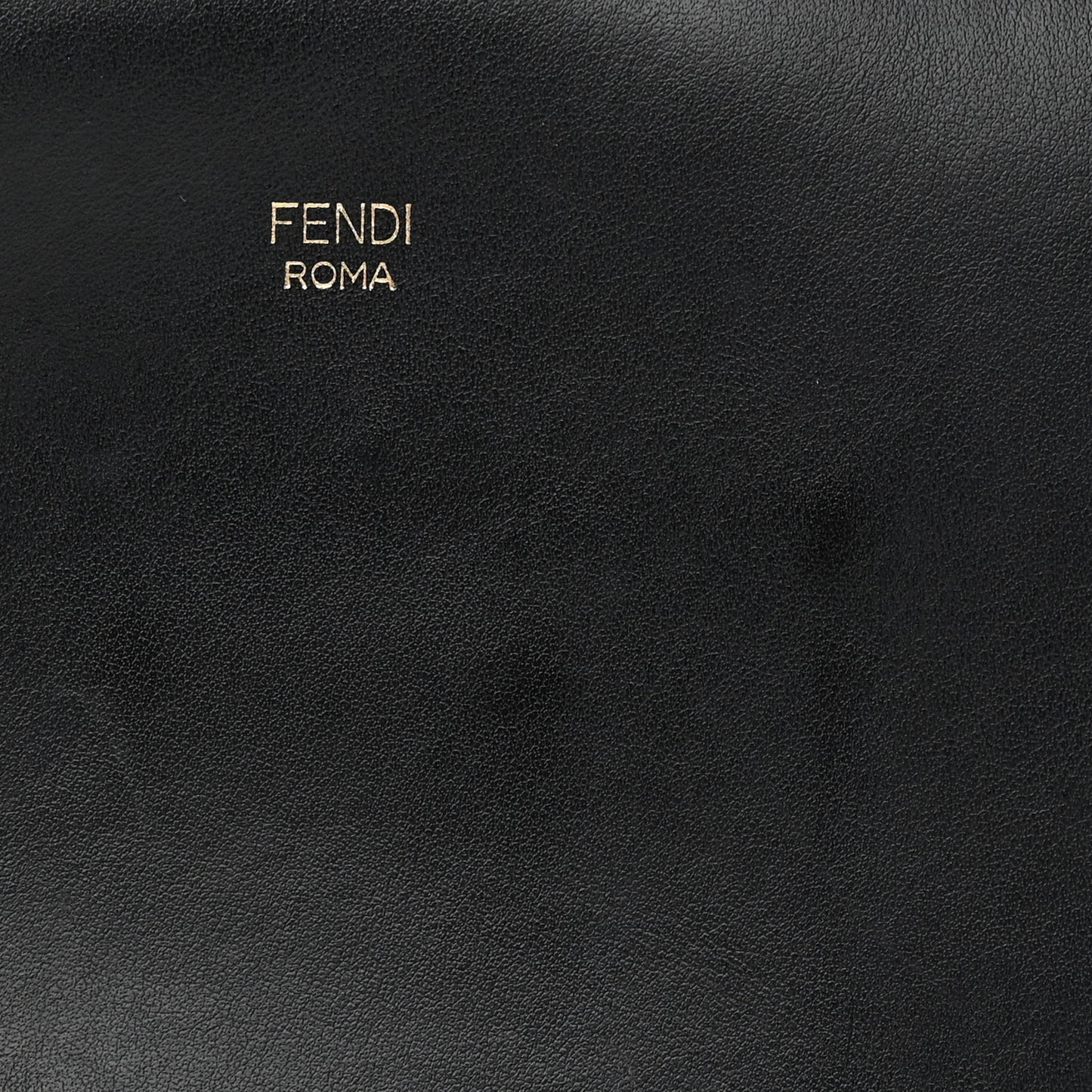 Vitello Century F is Fendi Bi-Color FF 1974 Embossed Camera Case Maya Black