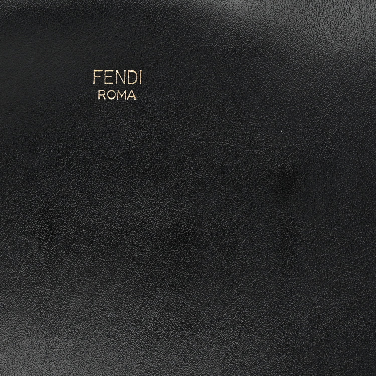 Fendi Vitello Century F is Fendi Bi-Color FF 1974 Embossed Camera Case Maya Black 13 of 15