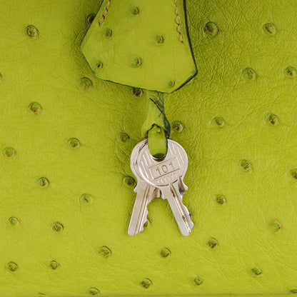 Hermes Ostrich Birkin 30 Vert Anis 12 of 25