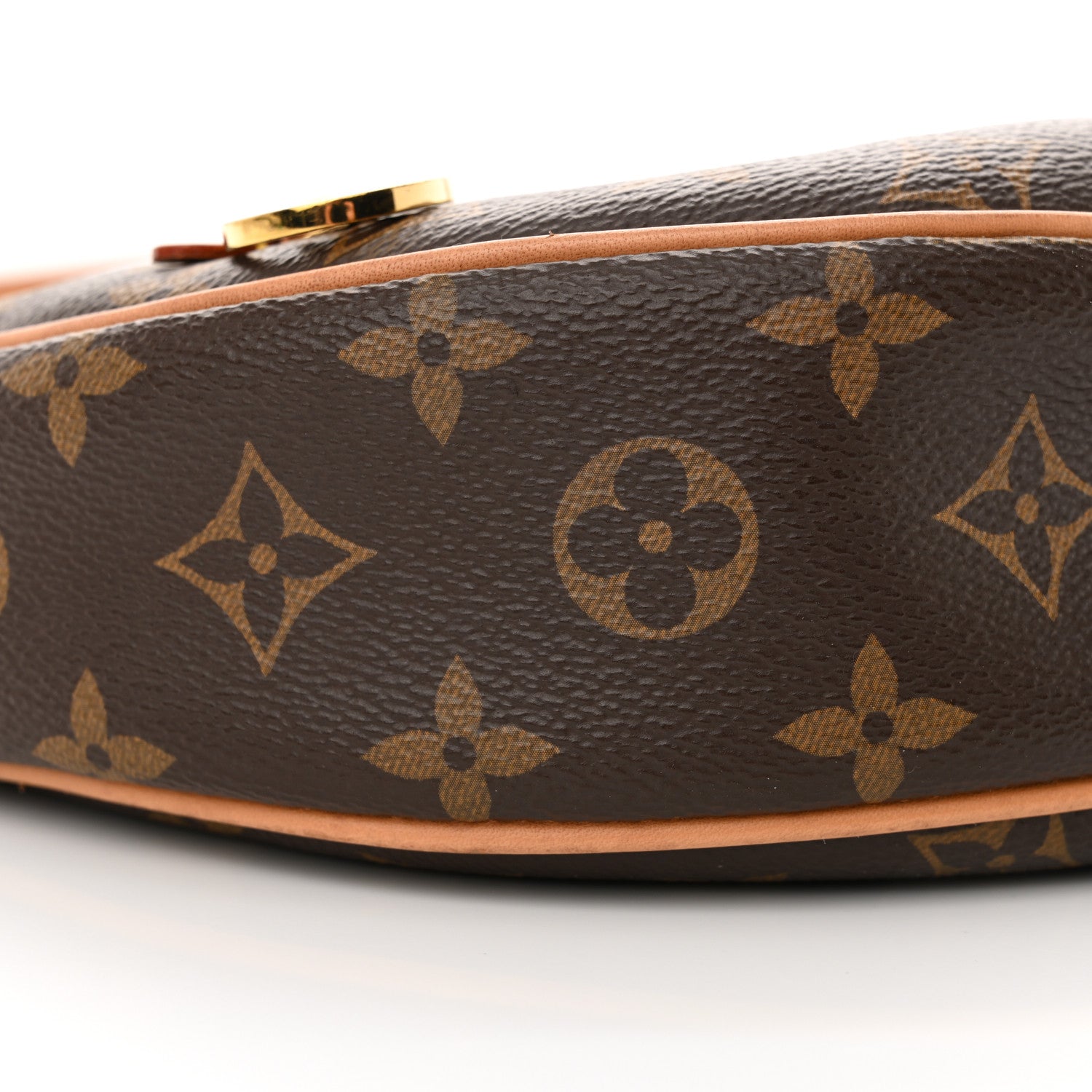 Louis Vuitton Monogram Loop 8 of 11