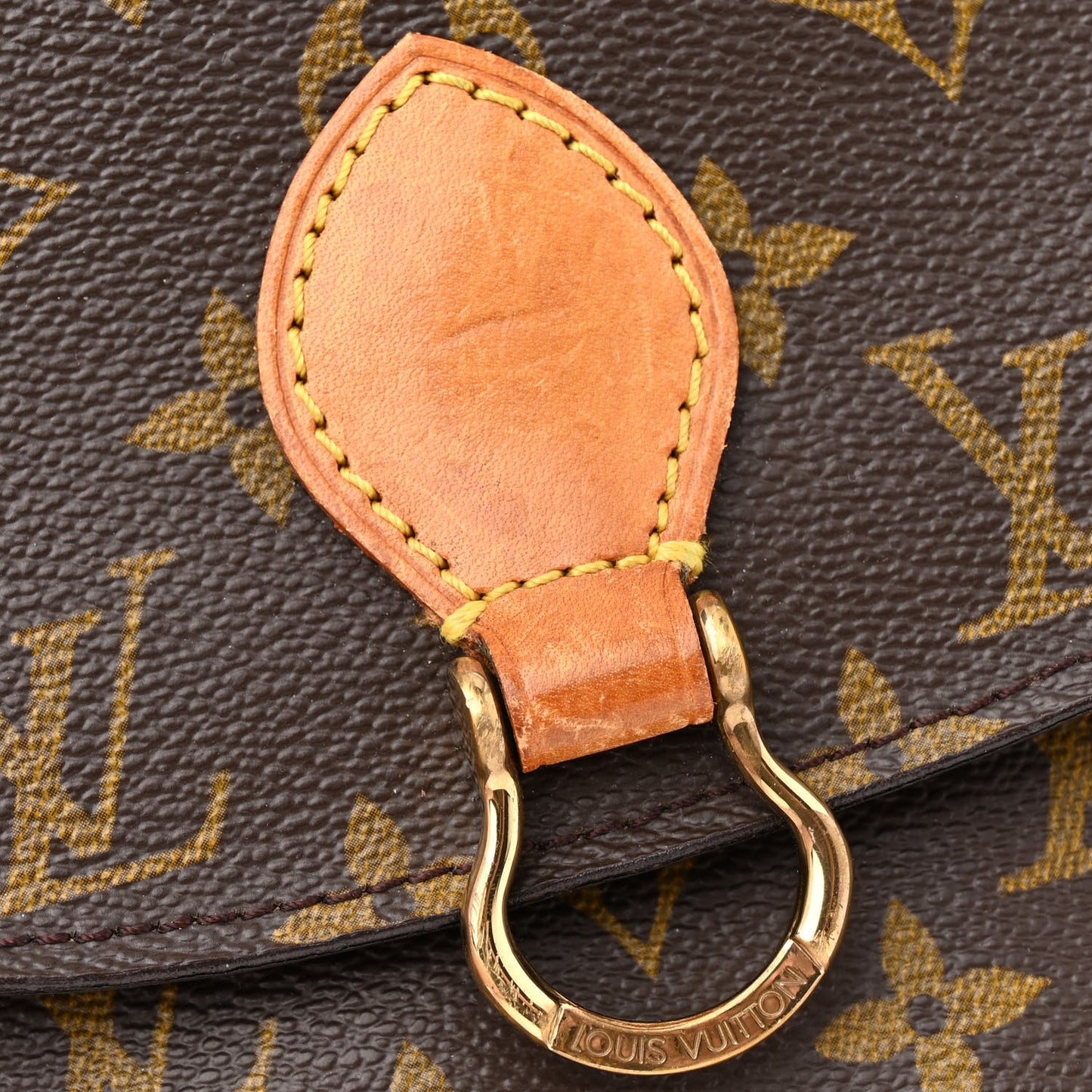 Monogram Saint Cloud PM