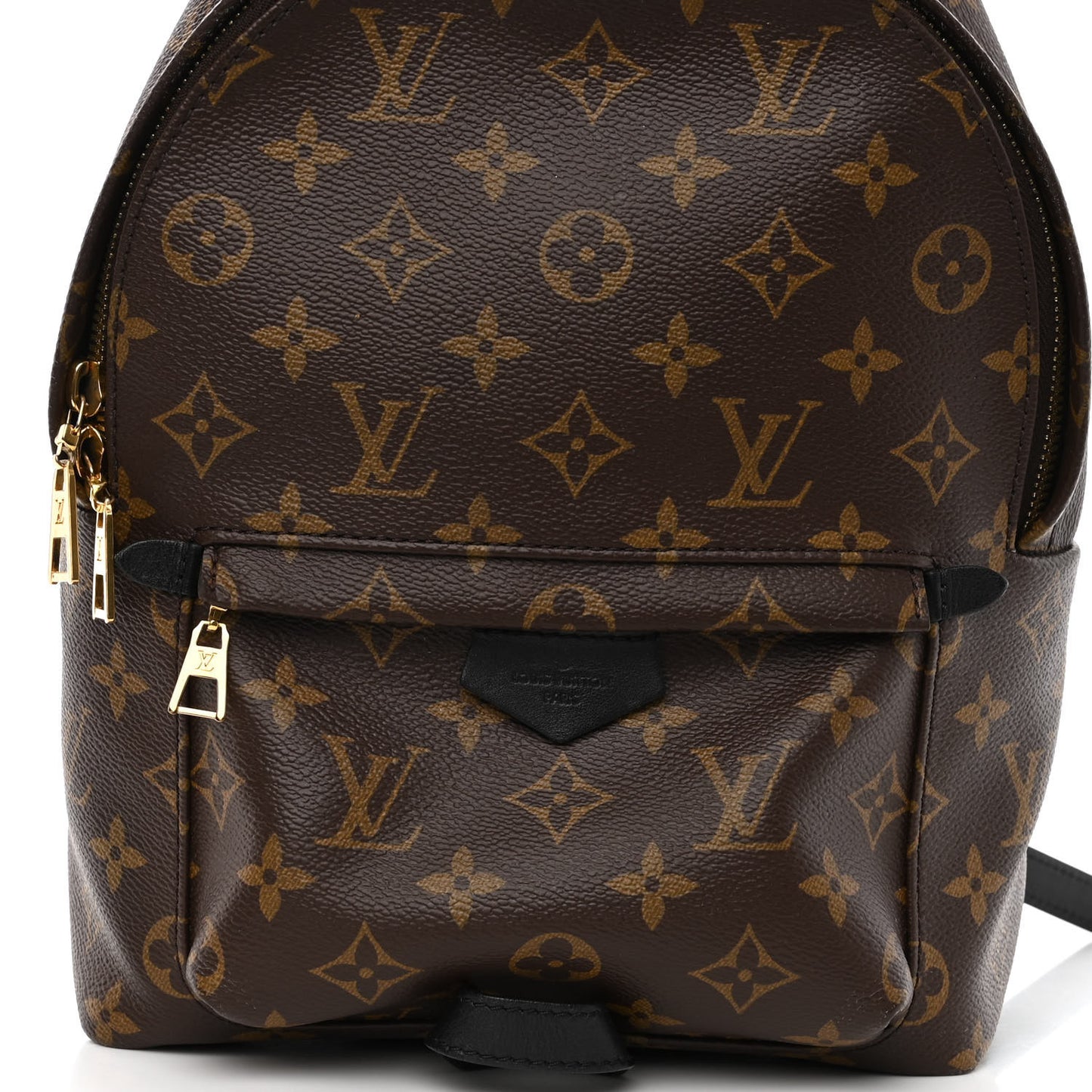 Monogram Palm Springs Backpack PM