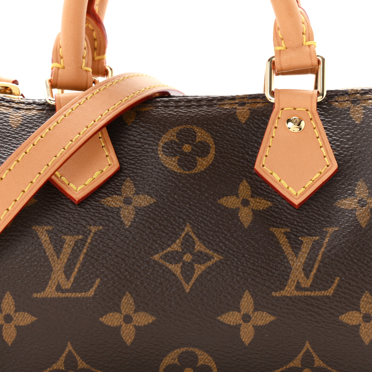 Monogram Nano Speedy Bandouliere