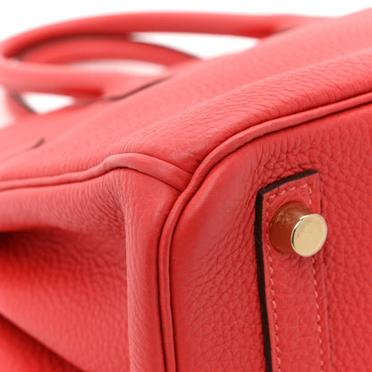 Hermes Togo Birkin 25 Rouge Casaque 12 of 13