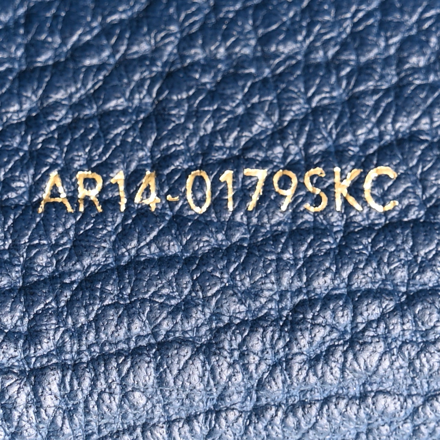 Textured Calfskin Medium Pashli Satchel Ink