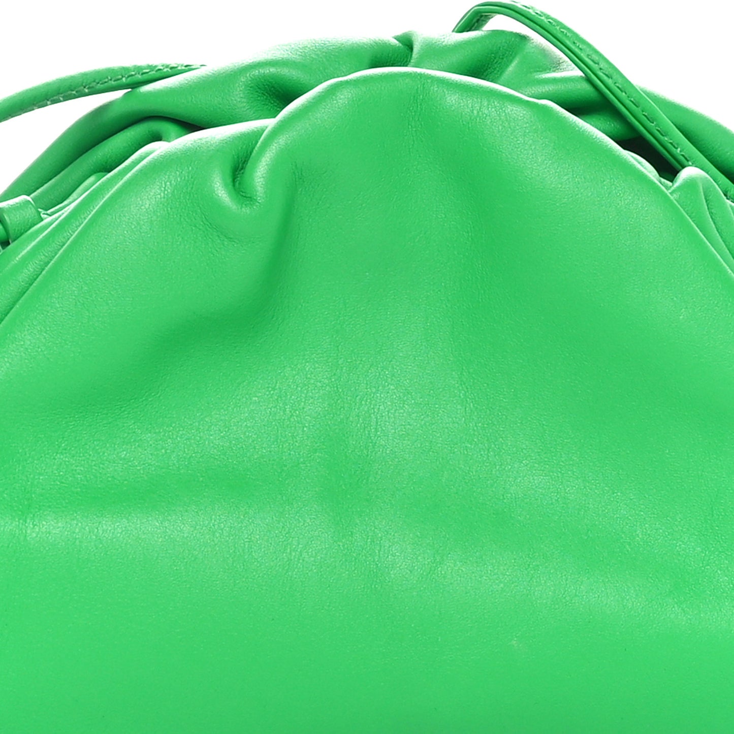 Butter Calfskin The Mini Pouch Parakeet