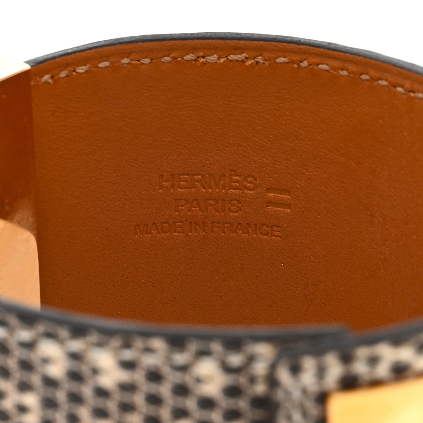 Lizard Collier De Chien CDC Bracelet T1 Ombre